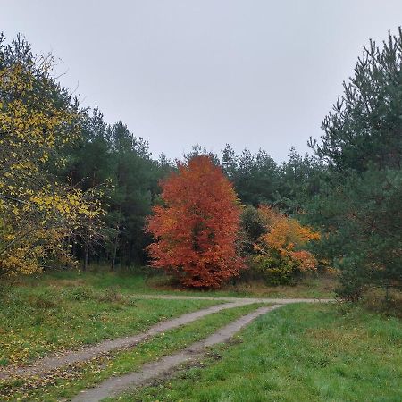 Agroturystyka Lesna Babka Jastrowie Esterno foto