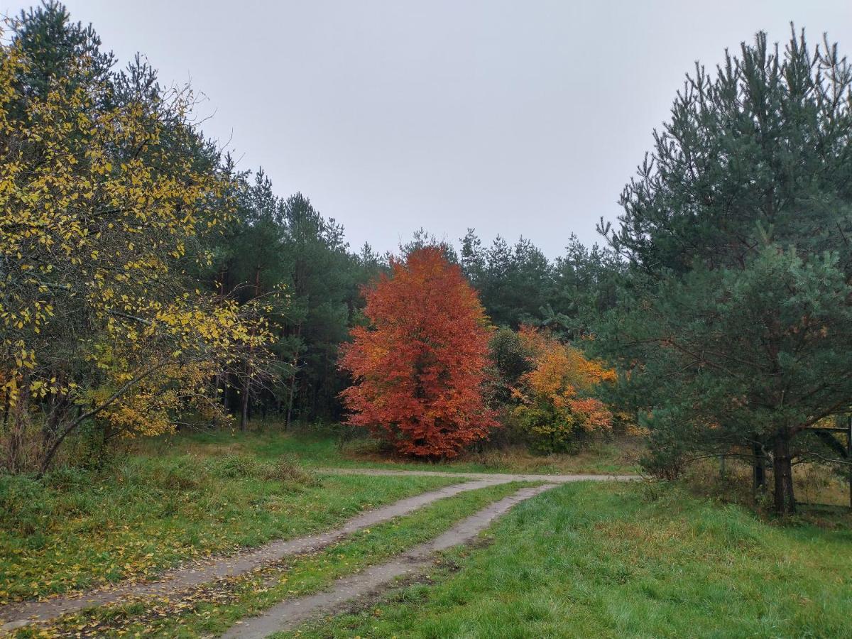 Agroturystyka Lesna Babka Jastrowie Esterno foto